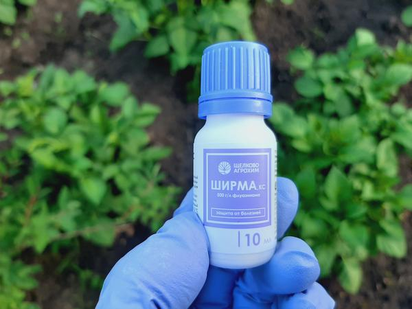 Препарат "Ширма" для профилактики и лечения фитофтороза. Инструкция по применению на картофеле Препарат "Ширма" для профилактики и лечения фитофтороза. Инструкция по применению на картофеле