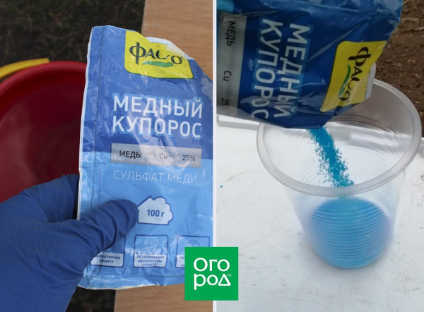 7 осенних пестицидов для обработки сада и огорода 7 осенних пестицидов для обработки сада и огорода