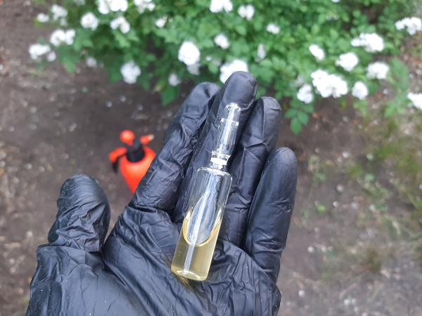 "Апекс" — профессиональное средство от тепличной белокрылки, плодожорки и щитовки. Инструкция по применению "Апекс" — профессиональное средство от тепличной белокрылки, плодожорки и щитовки. Инструкция по применению