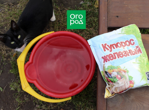 7 осенних пестицидов для обработки сада и огорода 7 осенних пестицидов для обработки сада и огорода