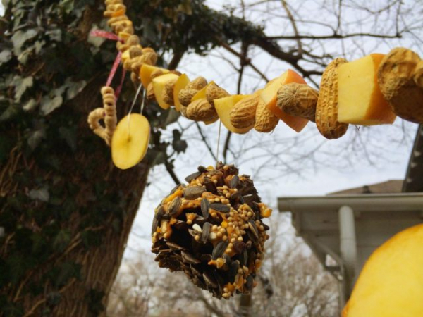 Какие кормушки на самом деле нравятся птицам — привлекаем пернатых правильно Какие кормушки на самом деле нравятся птицам — привлекаем пернатых правильно